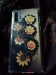 samsung note 10 plus 5g 12 256